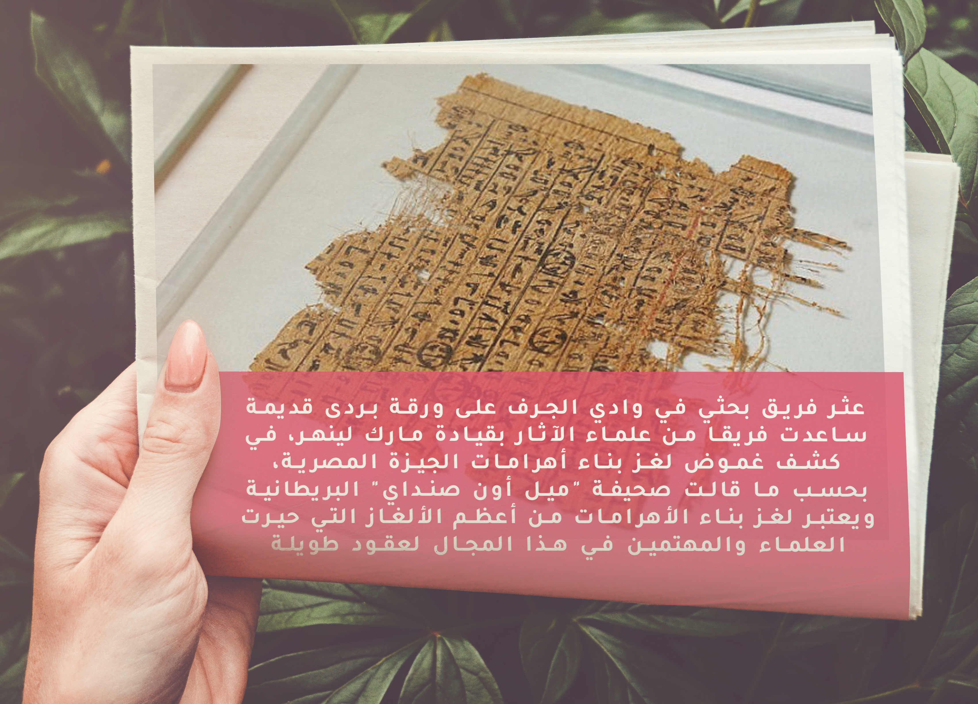 خبر صحفي
عثر فريق بحثي في وادي الجرف على ورقة بردى قديمة ساعدت فريقا من علماء الآثار بقيادة مارك لينهر، في كشف غموض لغز بنا